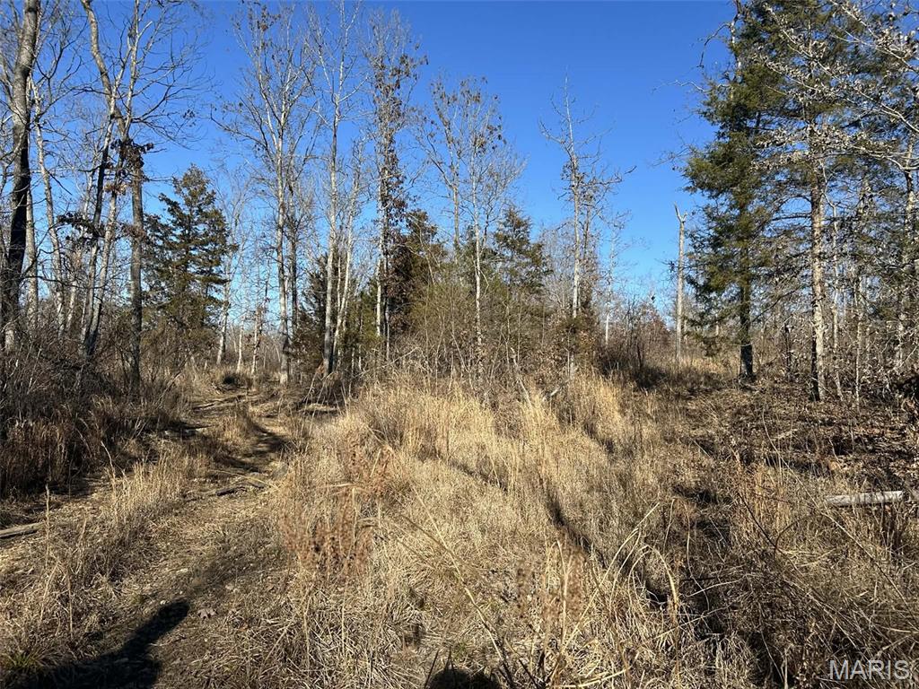 0 Kitchen Road Leasburg, MO 65535 - Photo 7 of 23