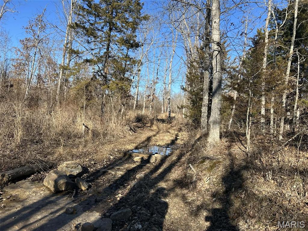 0 Kitchen Road Leasburg, MO 65535 - Photo 8 of 23