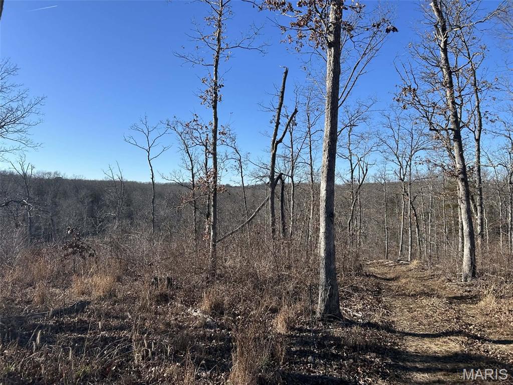 0 Kitchen Road Leasburg, MO 65535 - Photo 9 of 23