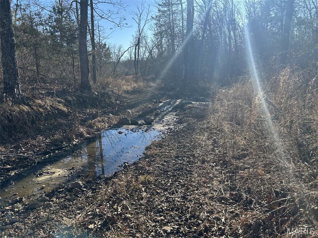 0 Kitchen Road Leasburg, MO 65535 - Photo 10 of 23