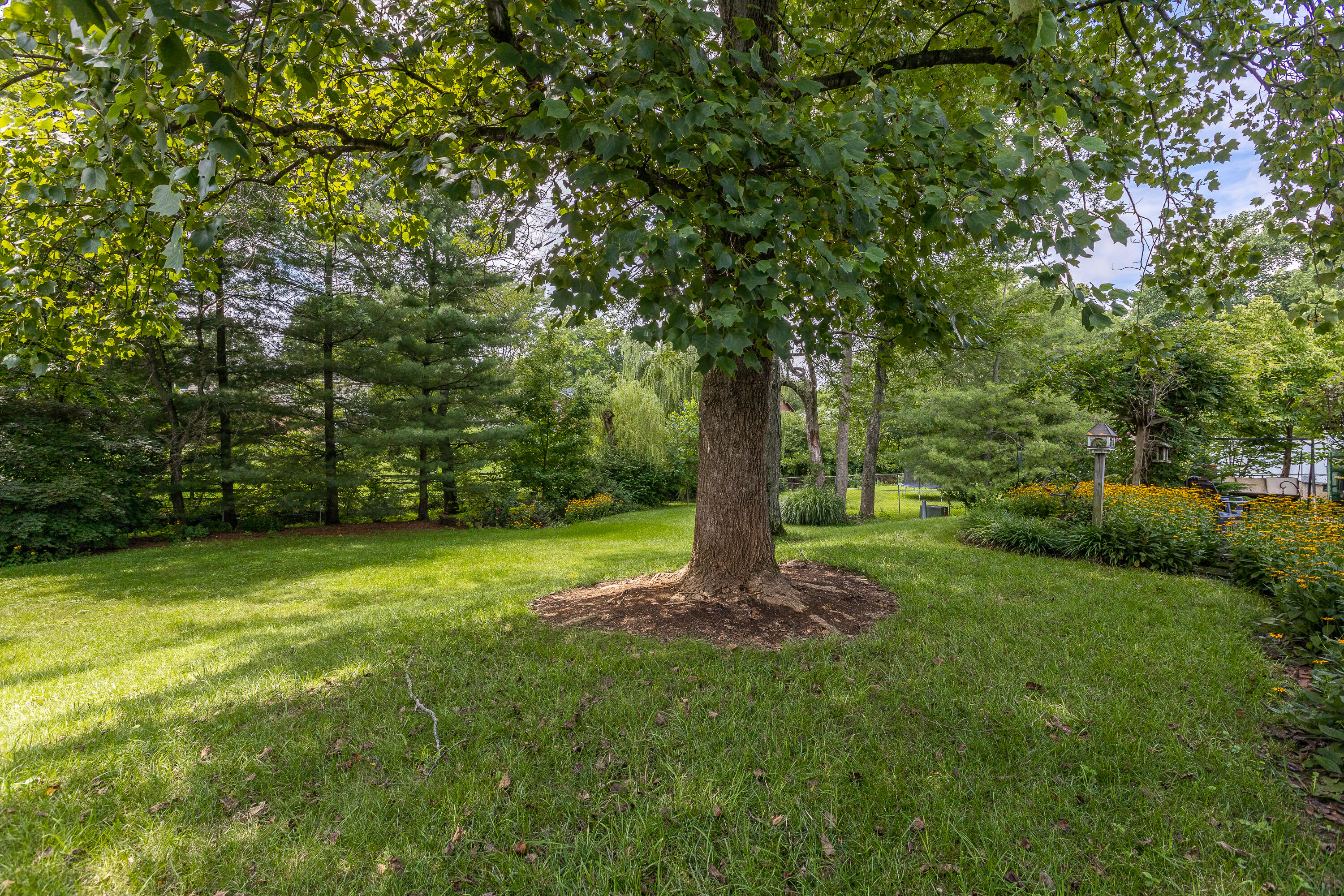 3190 Greenbo Road Lexington, KY 40515 - Photo 42 of 42 4-38