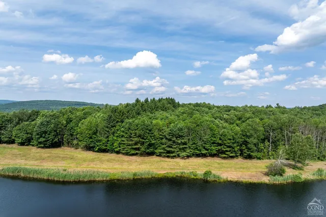 an aerial view of residential houses with outdoor space and trees