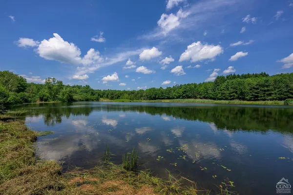 a view of a lake with a building in the background