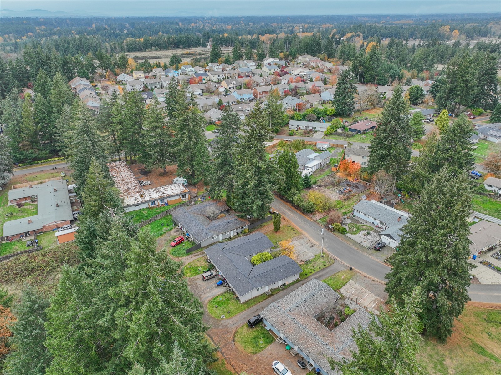 1126 Neil Street Northeast Olympia, WA 98516 - Photo 20 of 21 an aerial view of a house with a yard