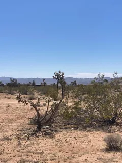 a view of lake with mountain