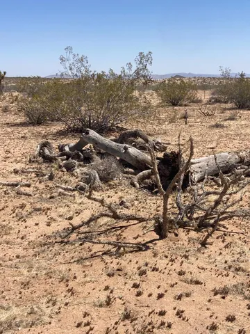 $65,000 | 60726 Trentwood Drive, Joshua Tree, CA 92252