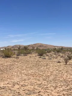 $65,000 | 60726 Trentwood Drive, Joshua Tree, CA 92252