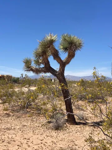 a view of water covered with snow on the road