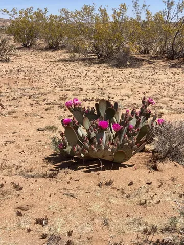 a view of lake and mountain