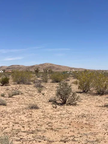 a view of a dry yard with mountains in the background
