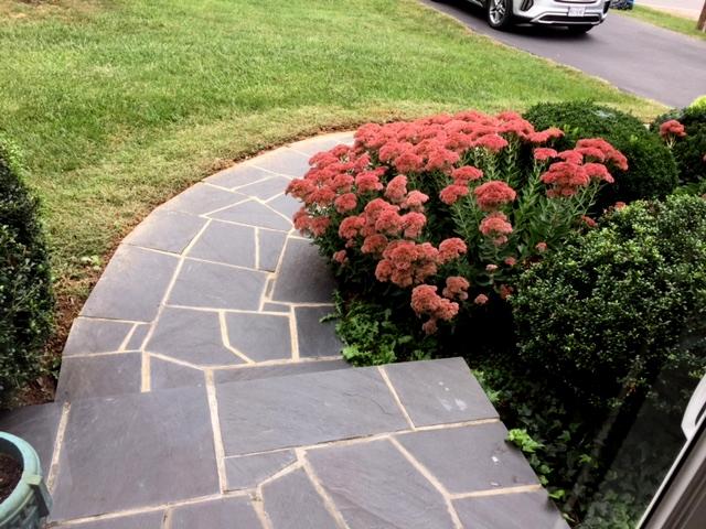 5222 Grandin Rd Extension Roanoke, VA 24018 - Photo 26 of 35 Nice landscaping
