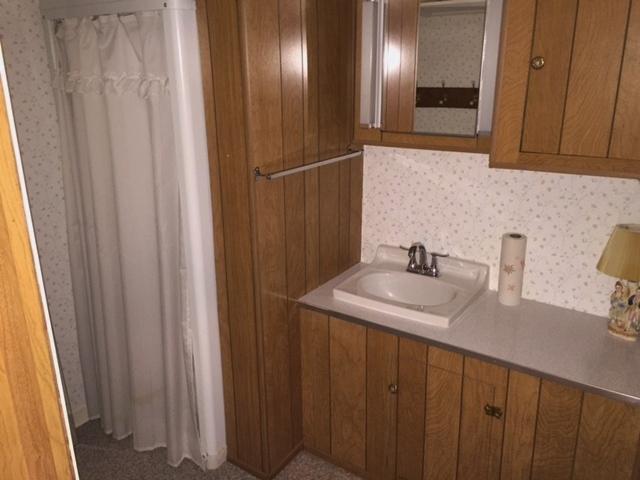 5222 Grandin Rd Extension Roanoke, VA 24018 - Photo 30 of 35 Lower Level shower