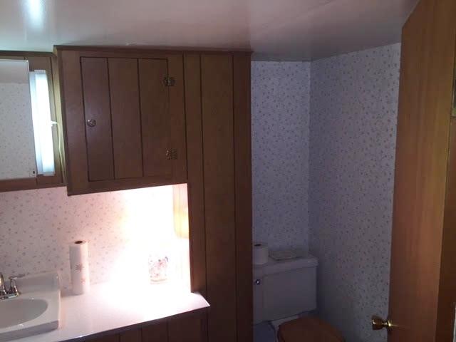 5222 Grandin Rd Extension Roanoke, VA 24018 - Photo 31 of 35 Lower Bath