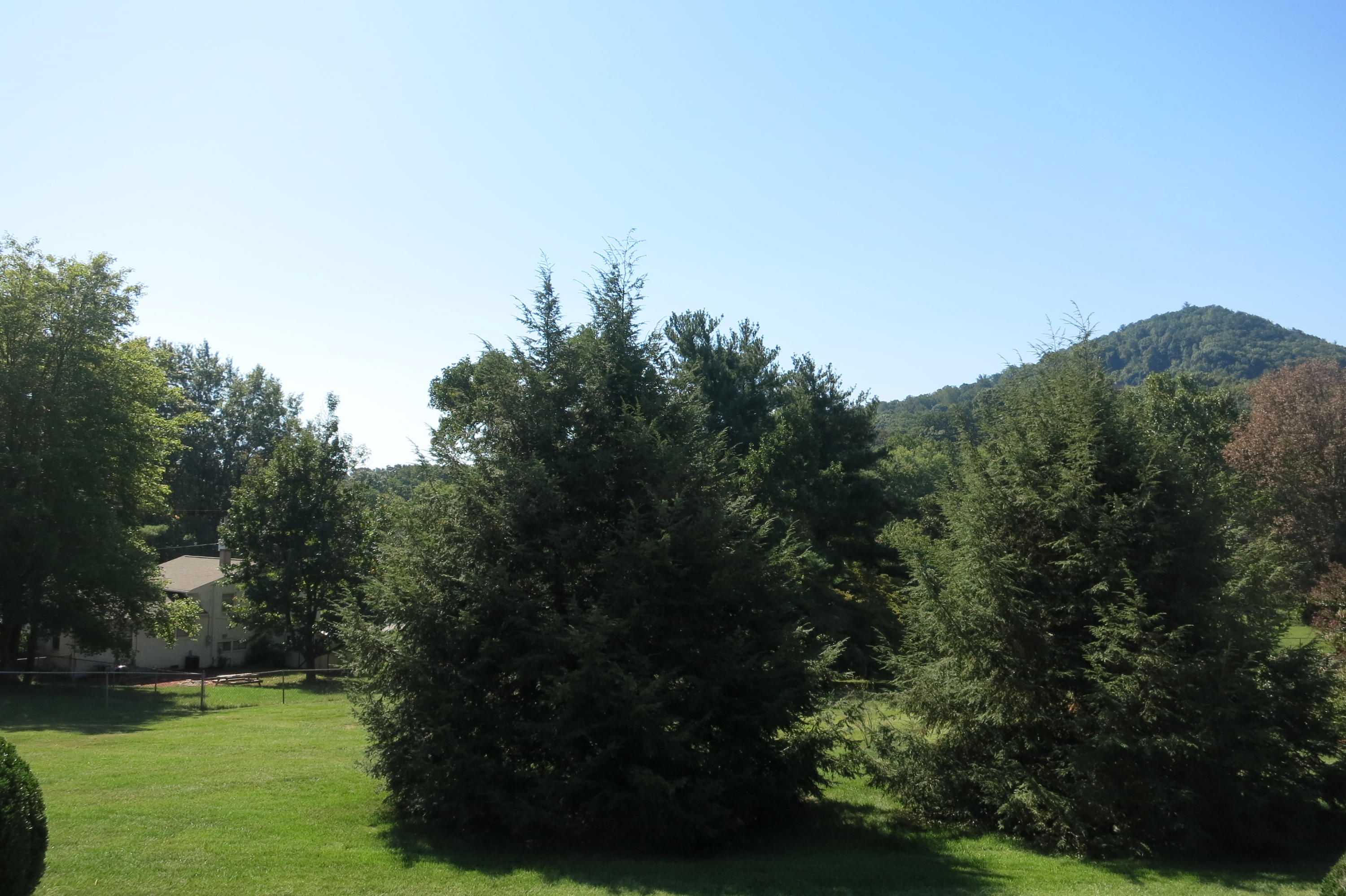 5222 Grandin Rd Extension Roanoke, VA 24018 - Photo 35 of 35 Back yard