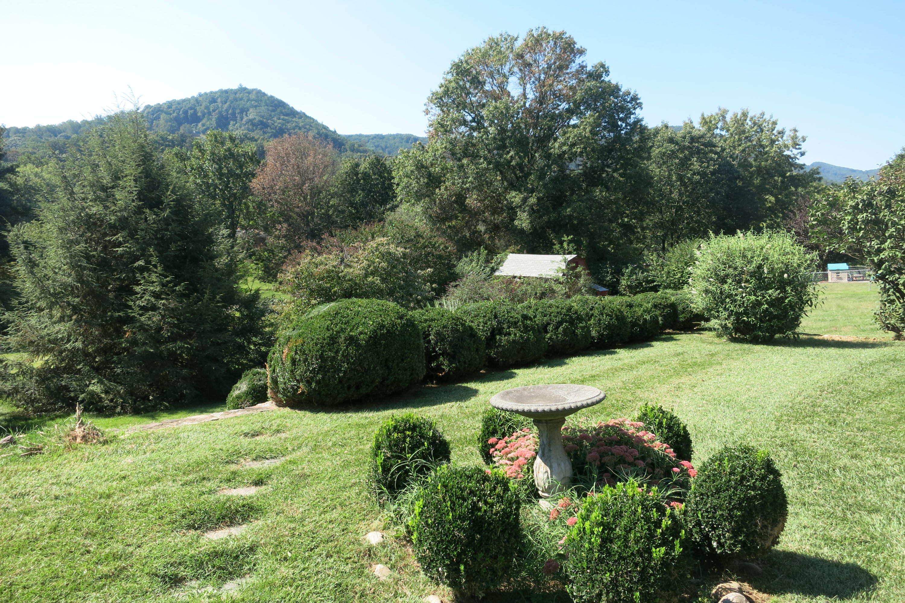5222 Grandin Rd Extension Roanoke, VA 24018 - Photo 6 of 35 Back yard