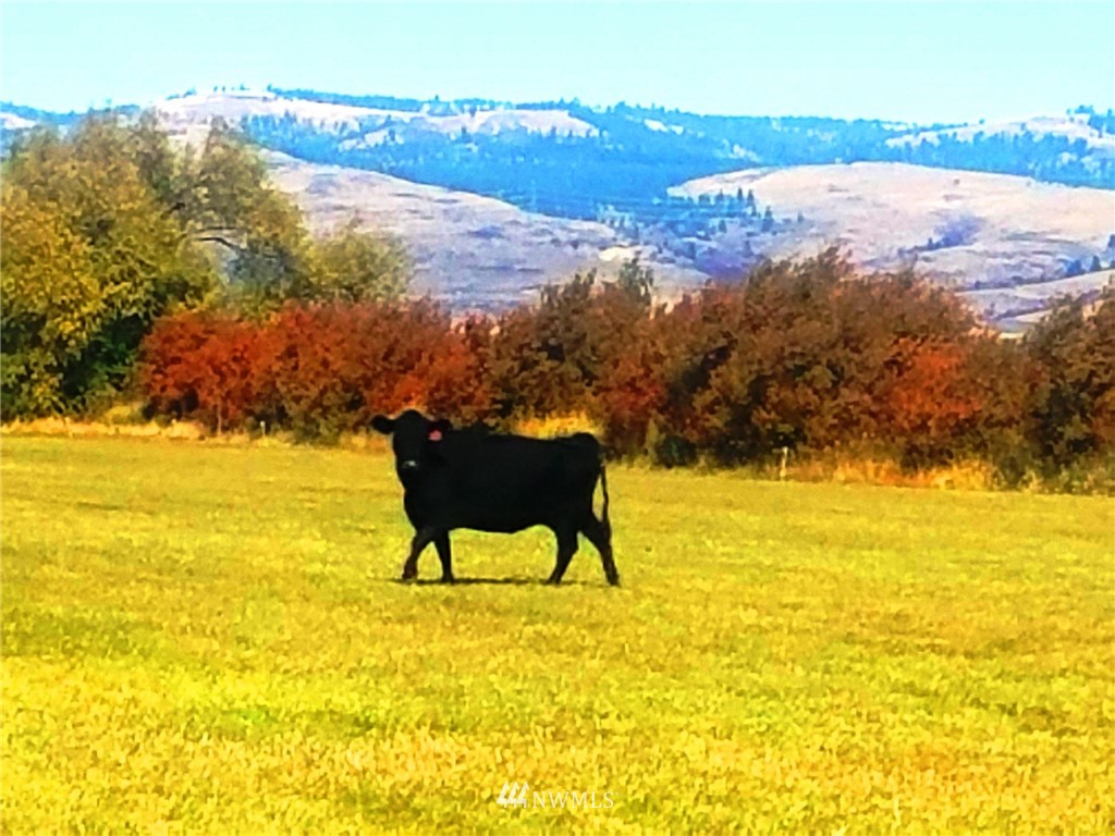 -xx3 Naneum Road Ellensburg, WA 98926 - Photo 1 of 1 Gallery Image 1