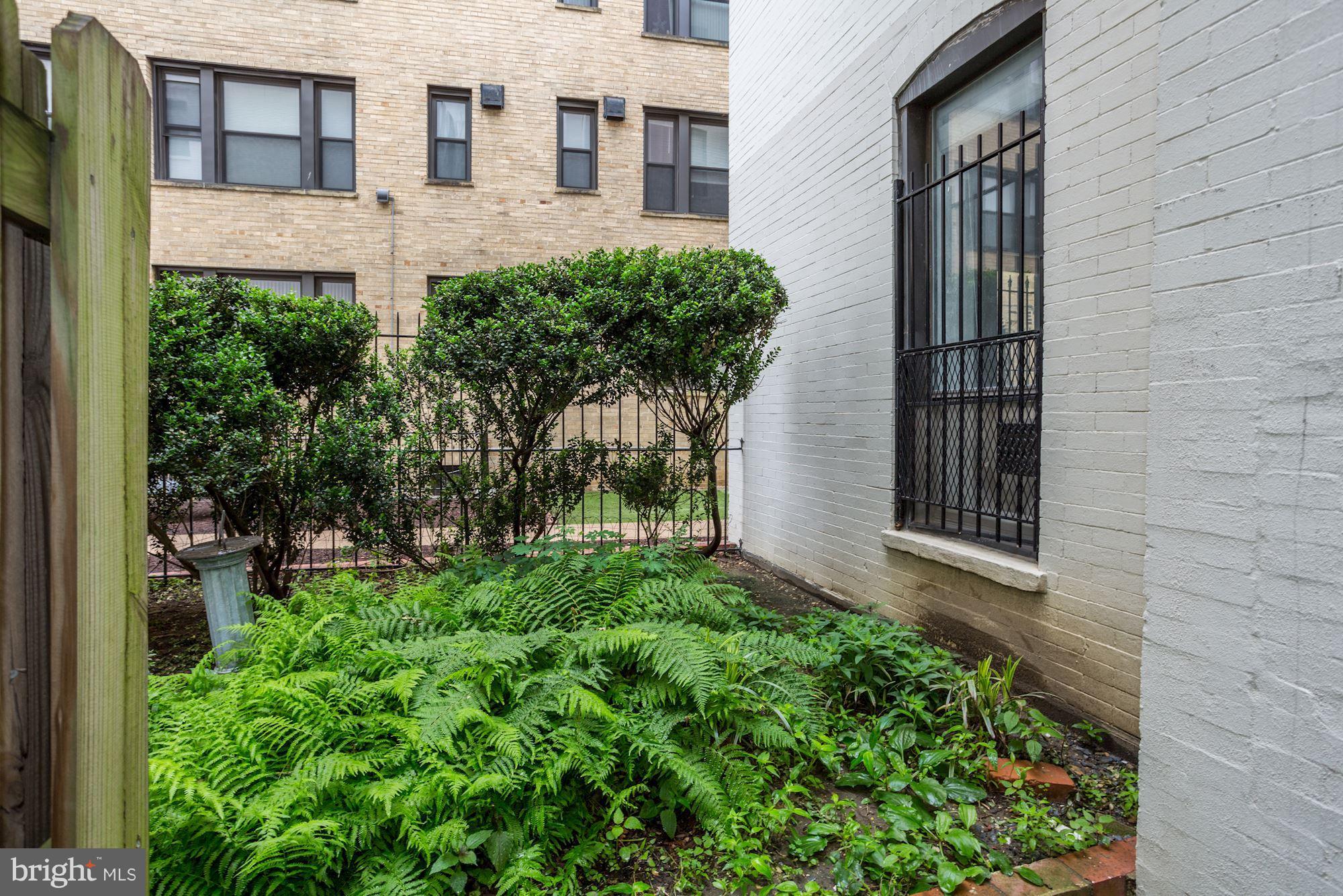1669 Columbia Road Northwest, Unit 101 Washington, DC 20009 - Photo 21 of 22 Private Patio