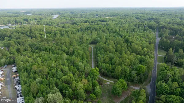 an aerial view of forest
