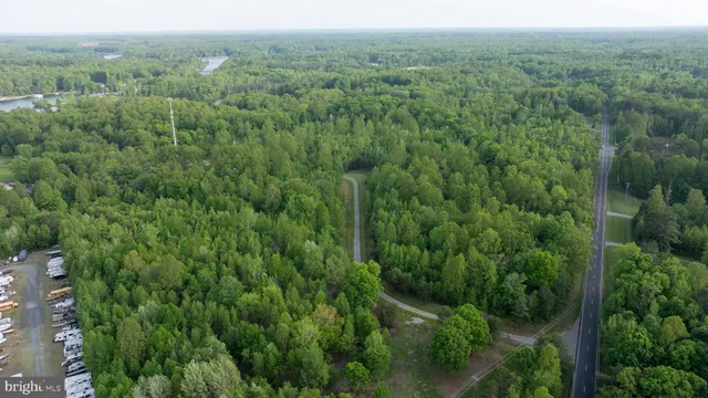 an aerial view of forest