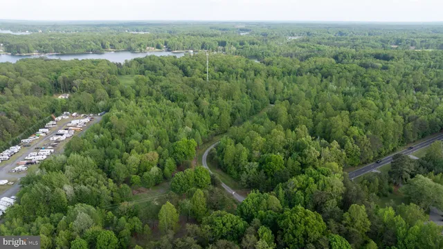 a view of a city with lush green forest