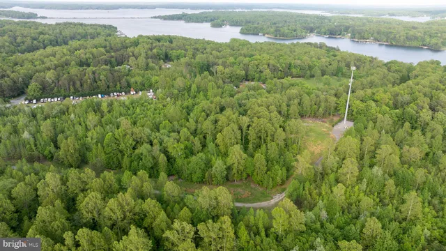 a view of a forest with a houses