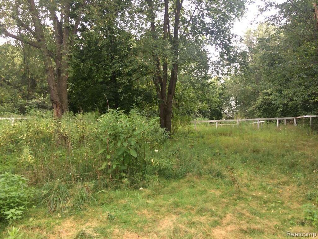 Lot 1 Eager Road Howell, MI 48843 - Photo 13 of 14