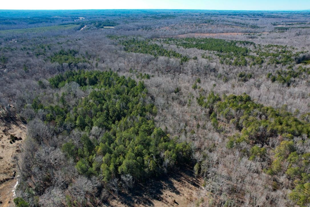 979 2 Mile Creek Road Enoree, SC 29335 - Photo 11 of 20