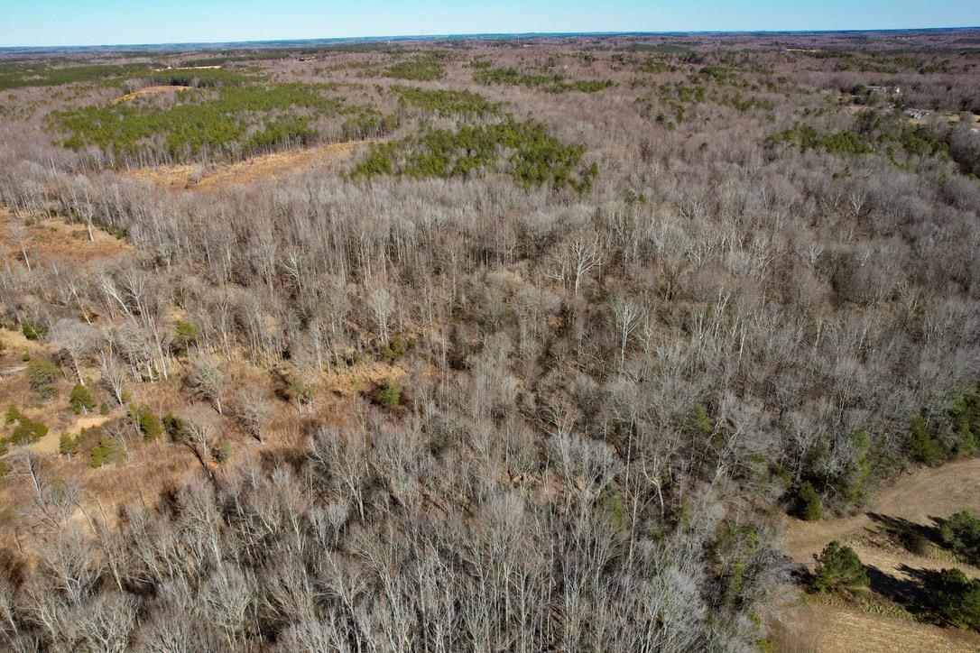 979 2 Mile Creek Road Enoree, SC 29335 - Photo 14 of 20