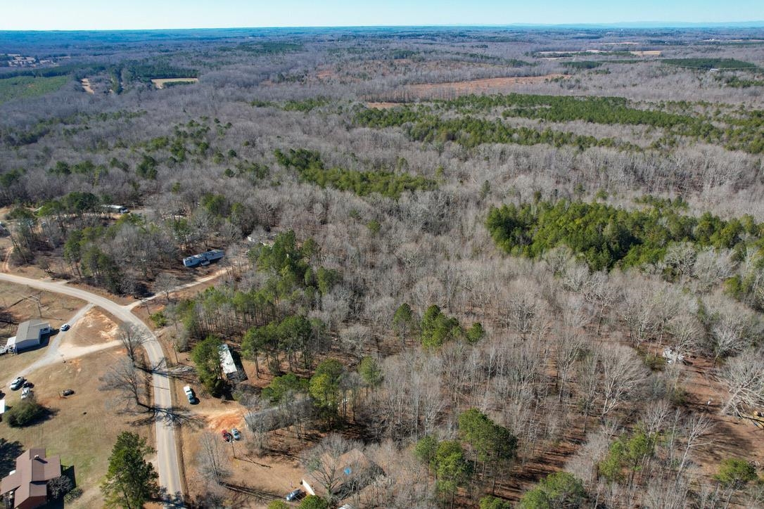 979 2 Mile Creek Road Enoree, SC 29335 - Photo 4 of 20