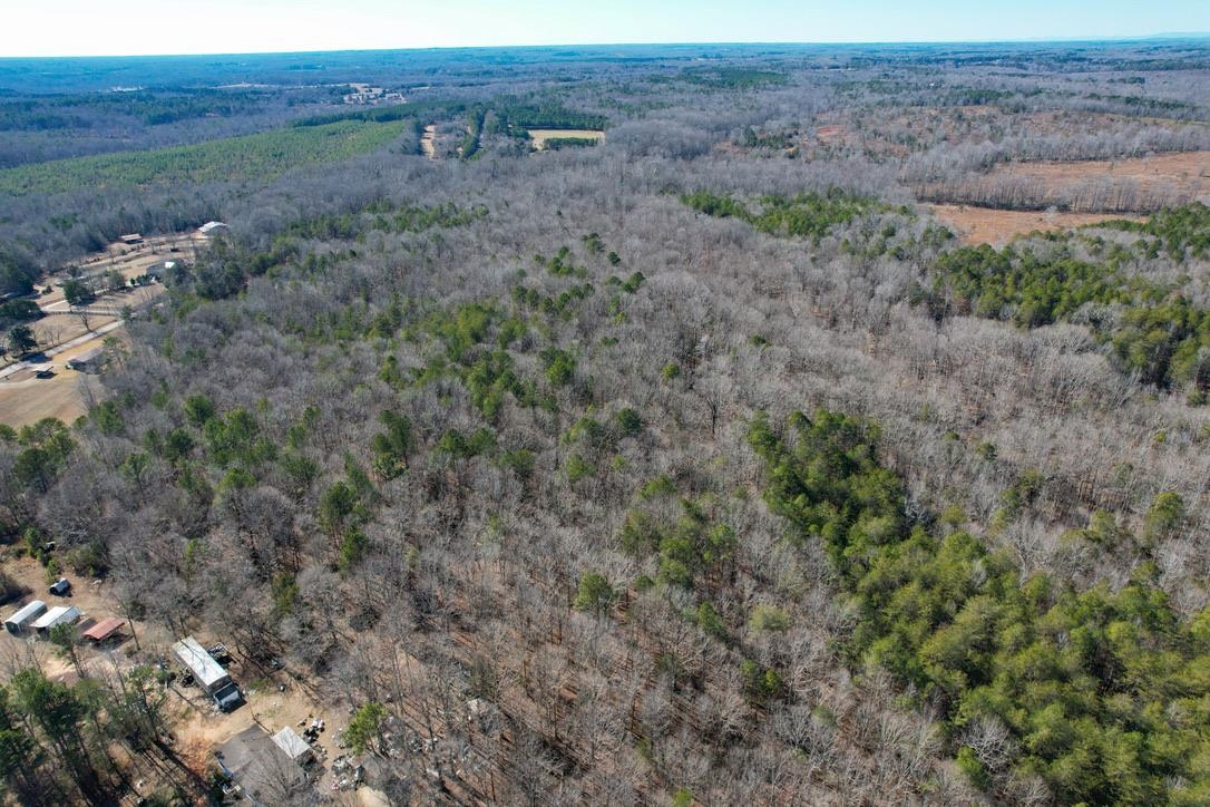 979 2 Mile Creek Road Enoree, SC 29335 - Photo 6 of 20