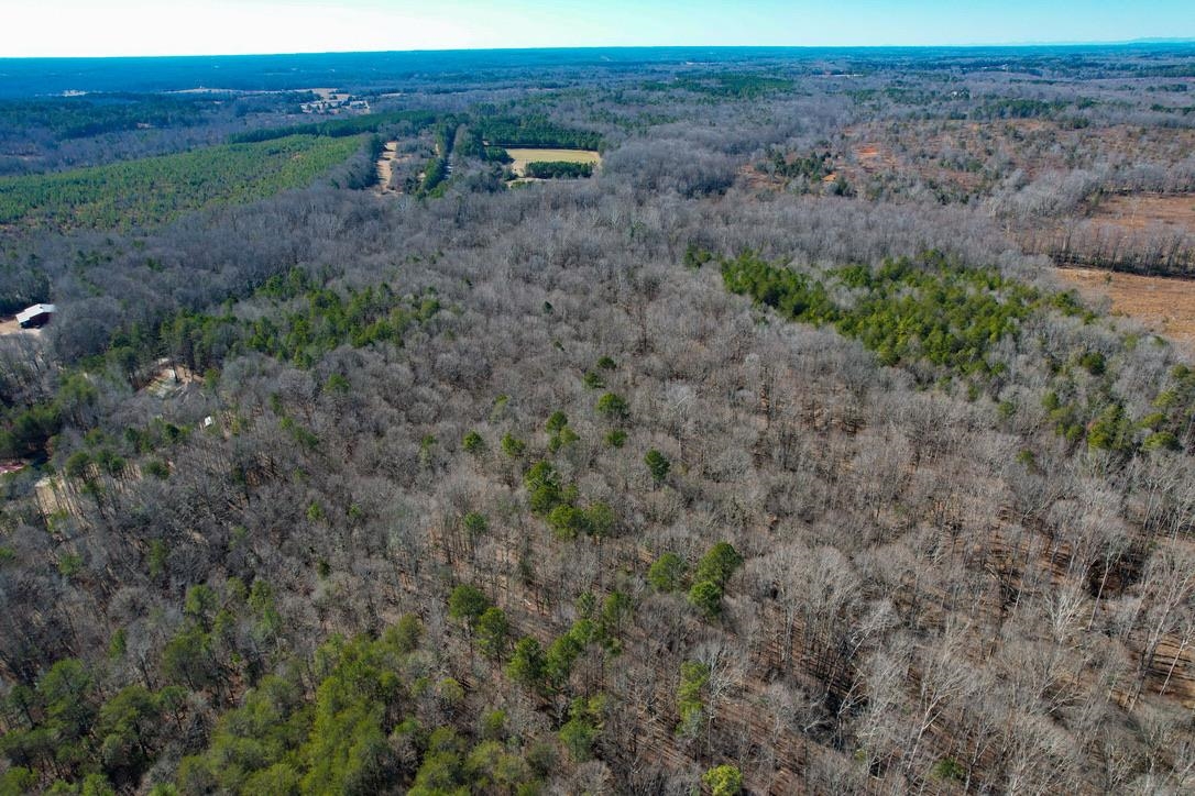 979 2 Mile Creek Road Enoree, SC 29335 - Photo 7 of 20