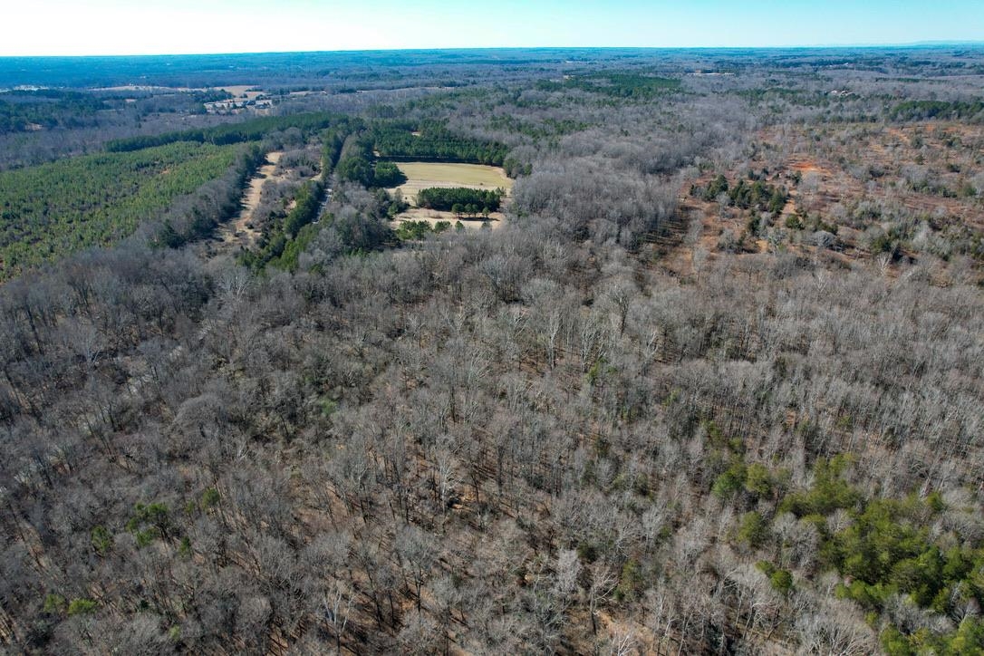 979 2 Mile Creek Road Enoree, SC 29335 - Photo 8 of 20