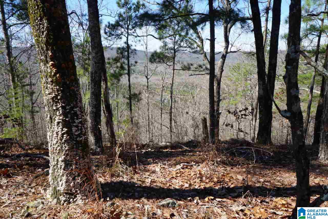Mystic Valley View, Unit 1 Sterrett, AL 35147 - Photo 31 of 33