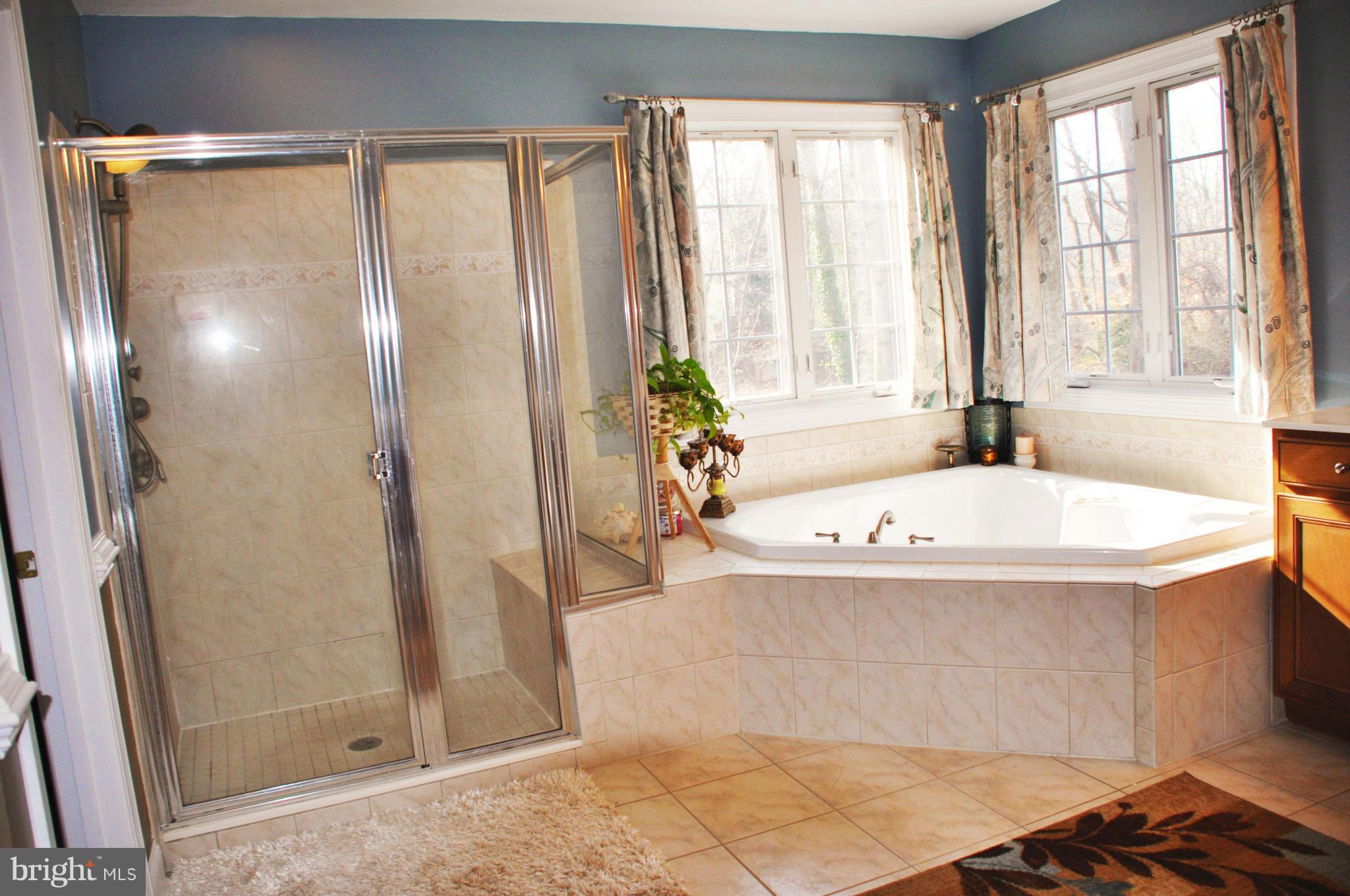 1518 Providence Road Baltimore, MD 21286 - Photo 22 of 29 Bath (Master)