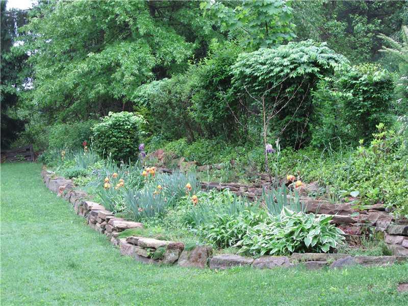 221 Harrison Road Turtle Creek, PA 15145 - Photo 4 of 24 Yard/Garden.