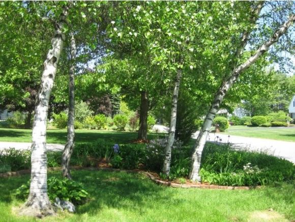 15 Goonan Road Hooksett, NH 03106 - Photo 19 of 22