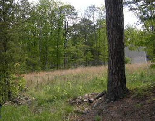 0 Griffin Road Southwest Roanoke, VA 24014 - Photo 1 of 1 a view of a lush green forest