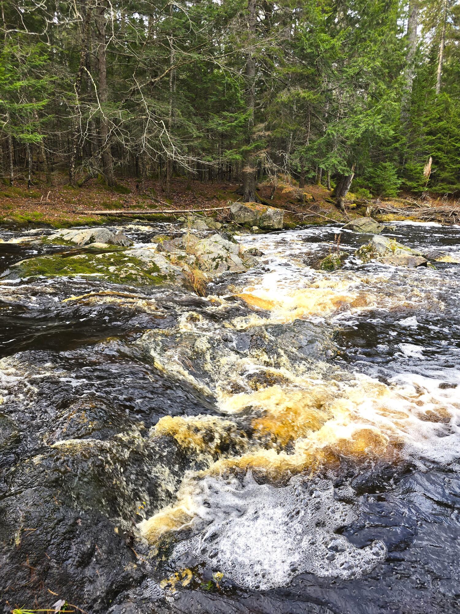 425 Saco Road Columbia Falls, ME 04623 - Photo 62 of 69 4