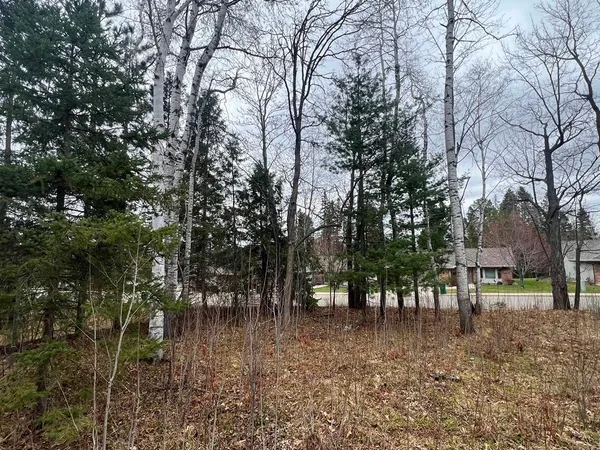 $34,999 | Tbd 3rd Avenue Southwest, Grand Rapids, MN 55744