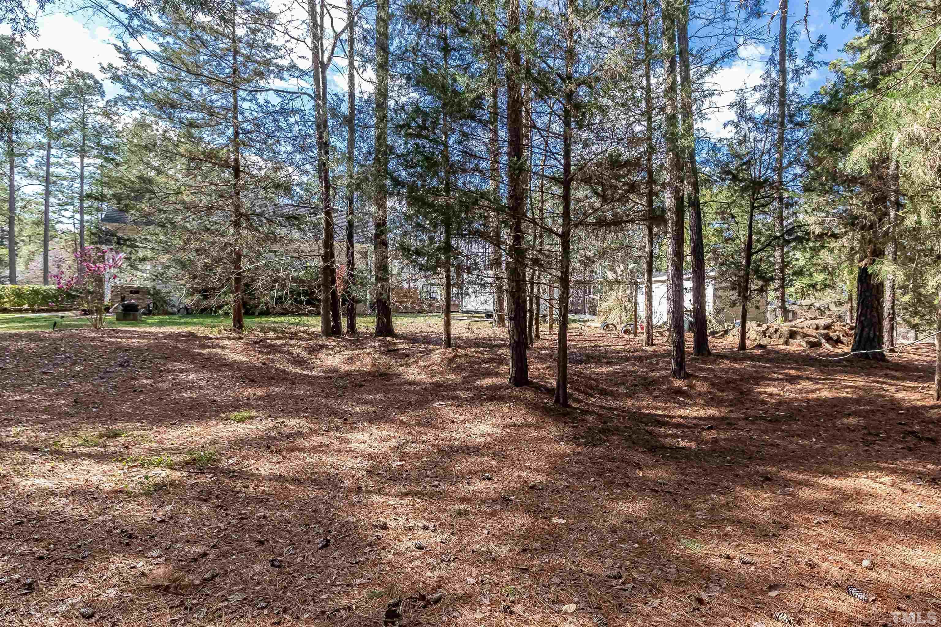 1197 Trotters Ridge Road Stem, NC 27581 - Photo 51 of 79