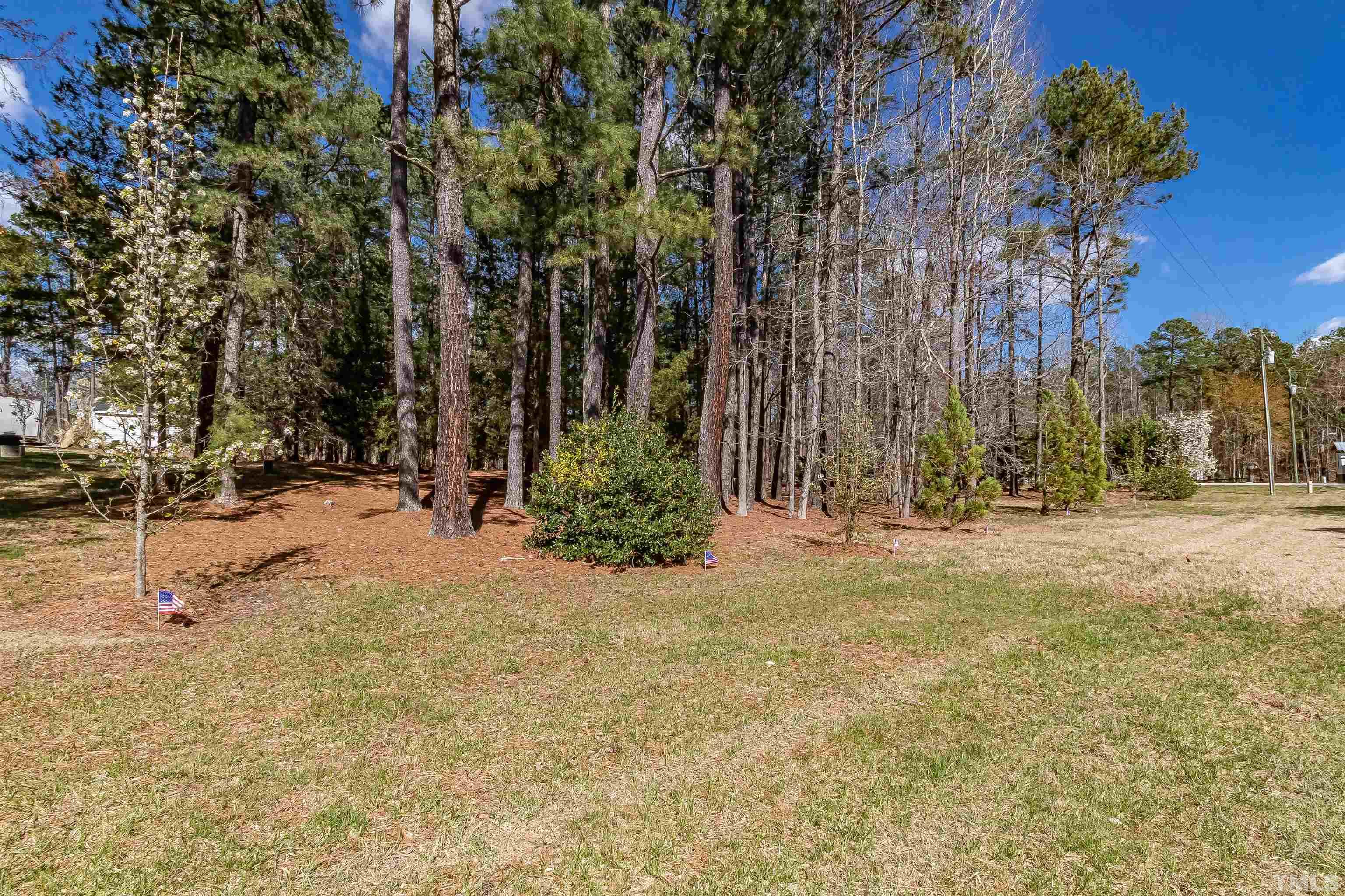 1197 Trotters Ridge Road Stem, NC 27581 - Photo 75 of 79