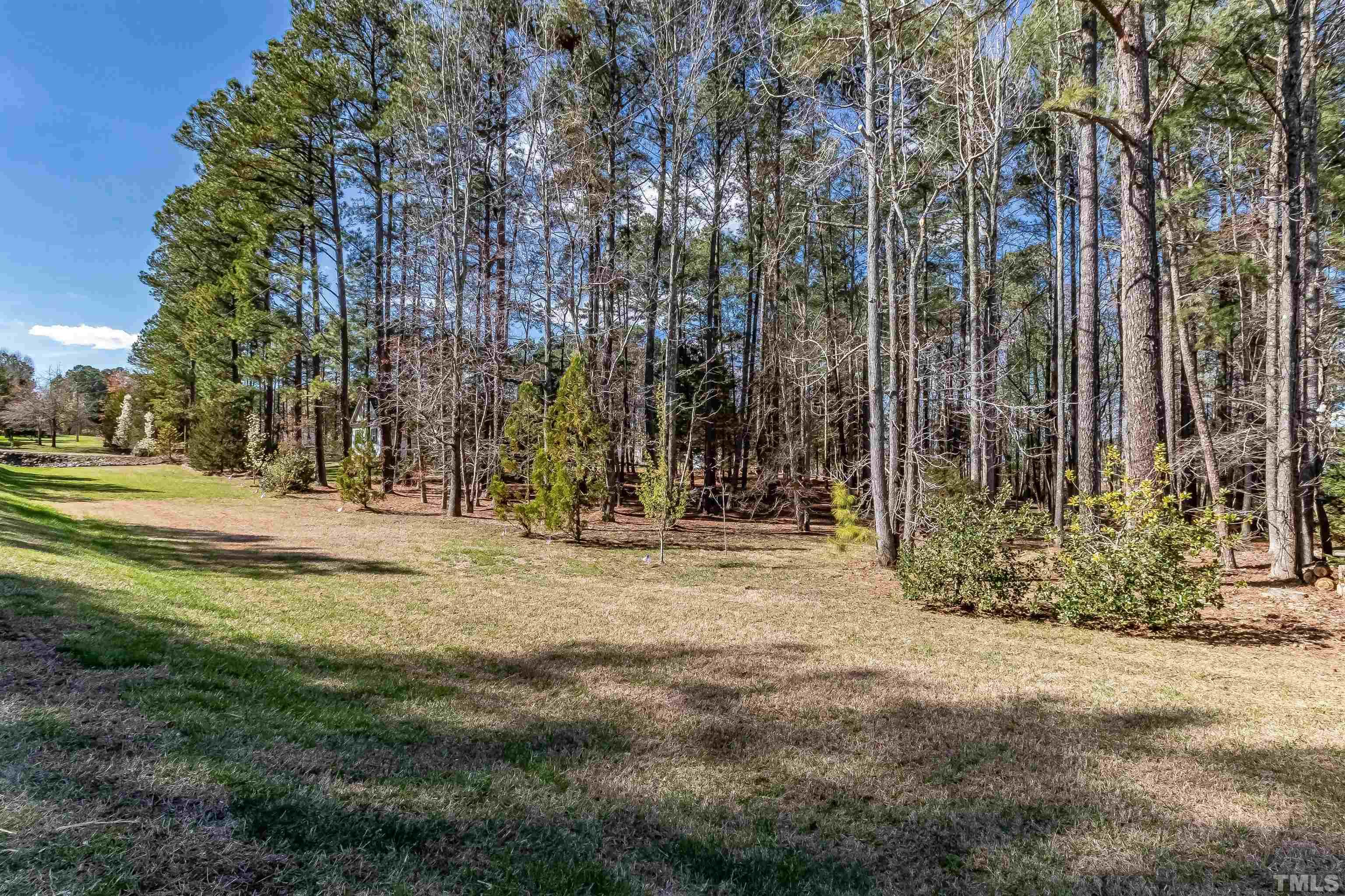 1197 Trotters Ridge Road Stem, NC 27581 - Photo 76 of 79