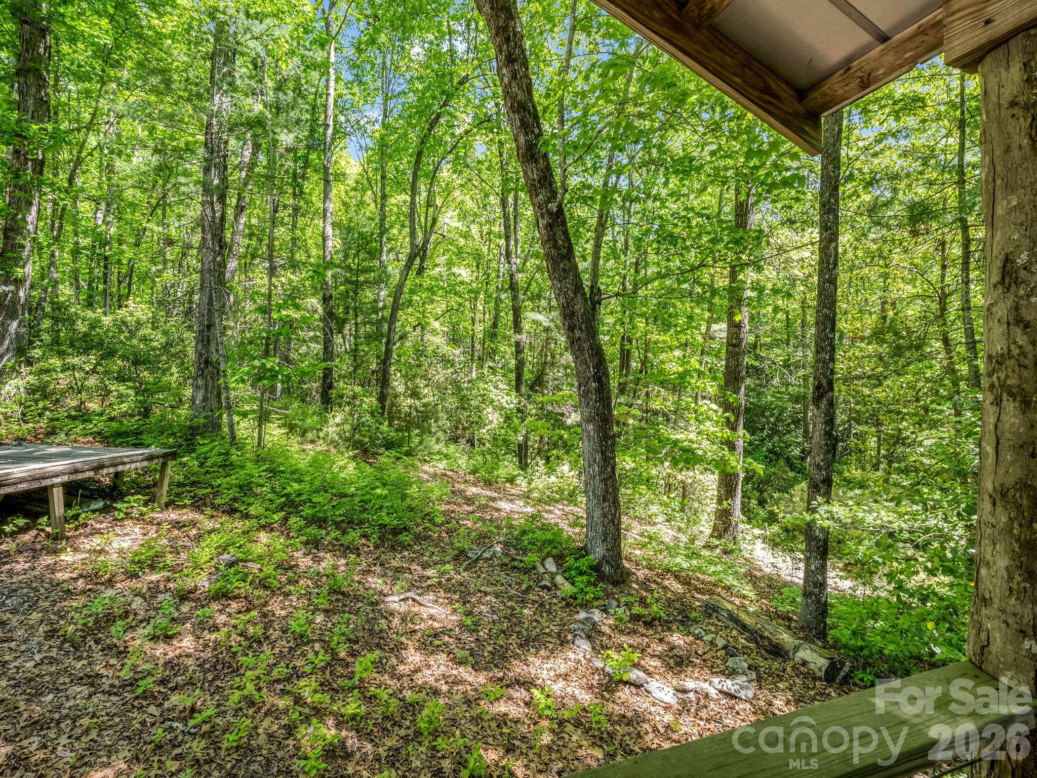 352 Big Hill Road Brevard, NC 28712 - Photo 24 of 31
