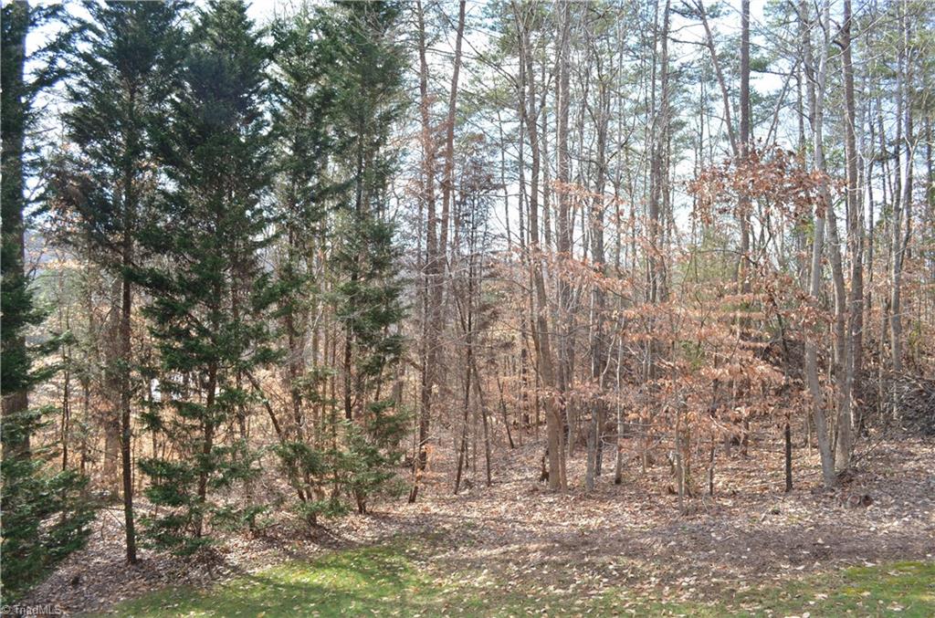 6196 Narrow Way Lane Rural Hall, NC 27045 - Photo 21 of 30
