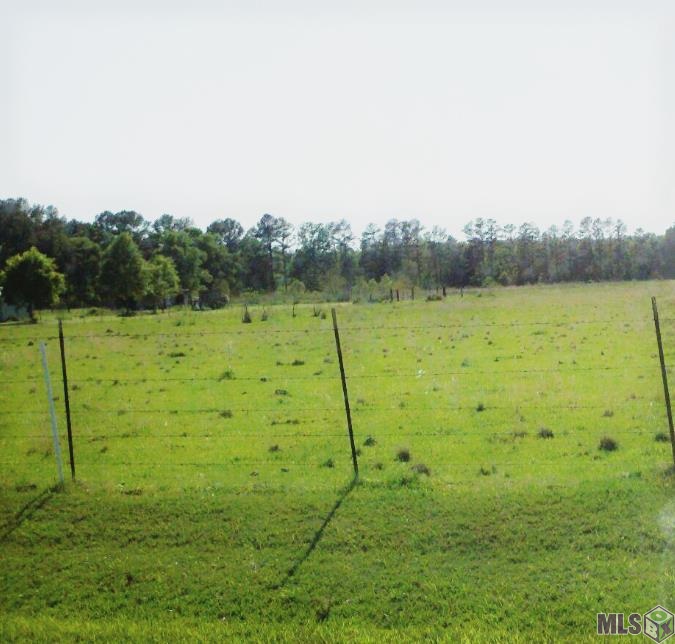 20787 Chaney Road Zachary, LA 70791 - Photo 1 of 4 Gallery Image 1