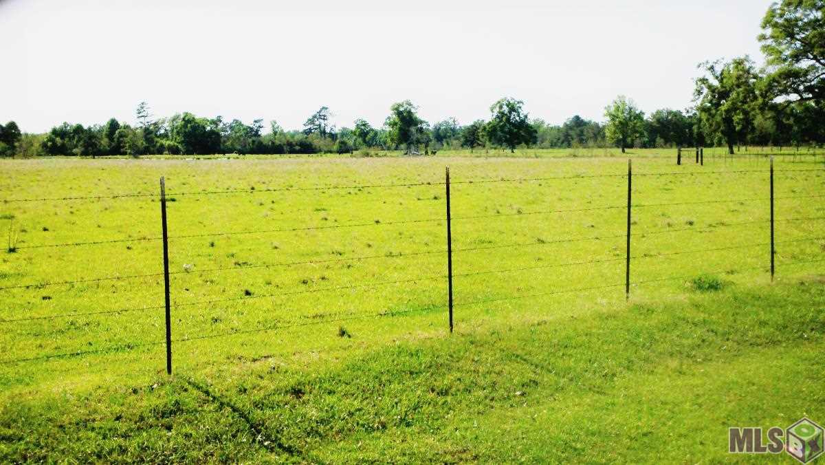 20787 Chaney Road Zachary, LA 70791 - Photo 3 of 4 Gallery Image 3