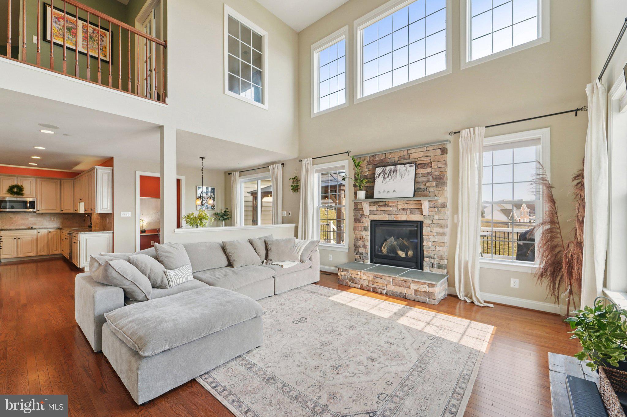 420 Irish Rebel Road Westminster, MD 21157 - Photo 22 of 71 a living room with furniture a fireplace and a potted plant