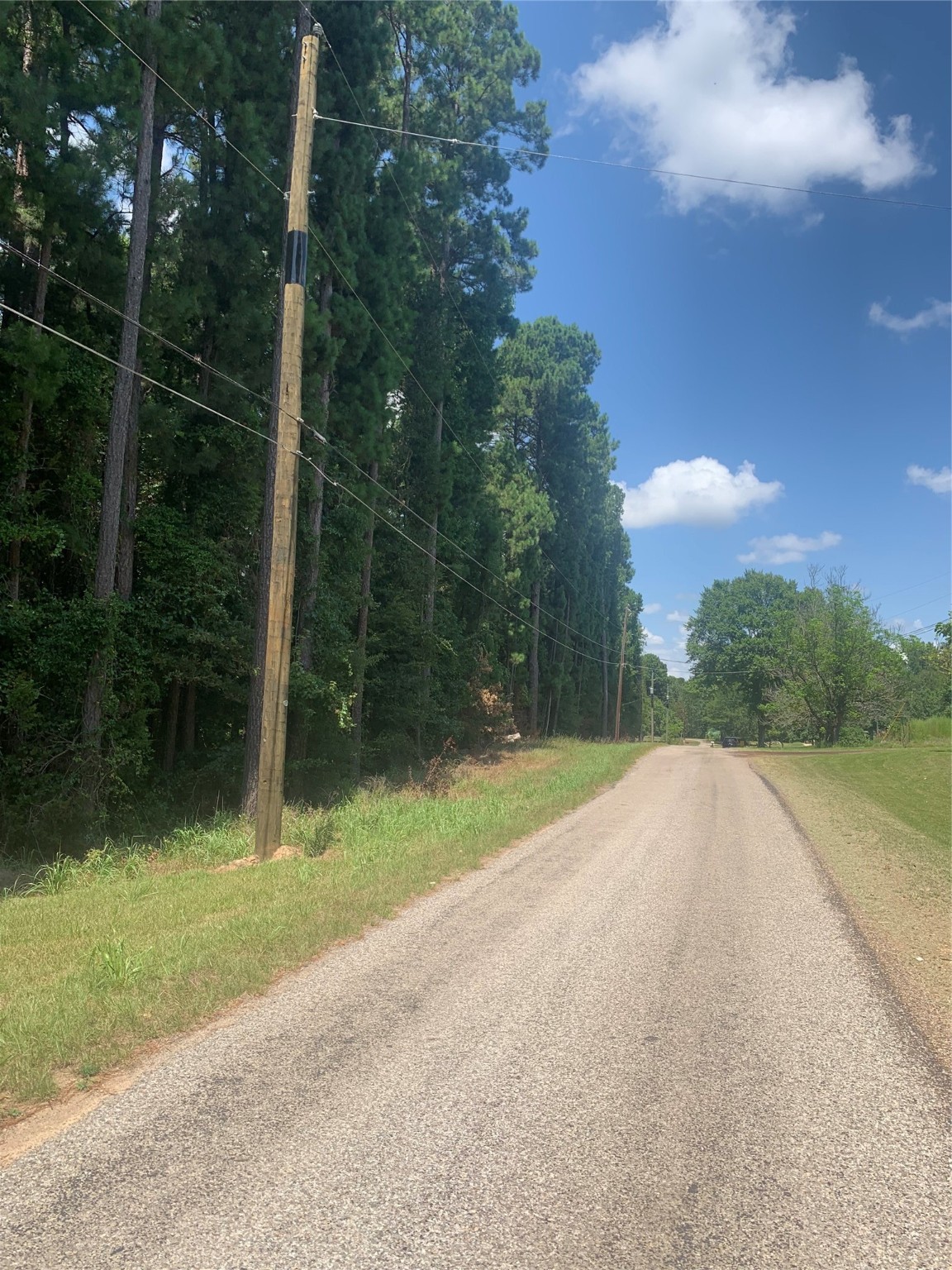 1145 Lundy Lane Naples, TX 75568 - Photo 2 of 5 a view of a yard with palm trees