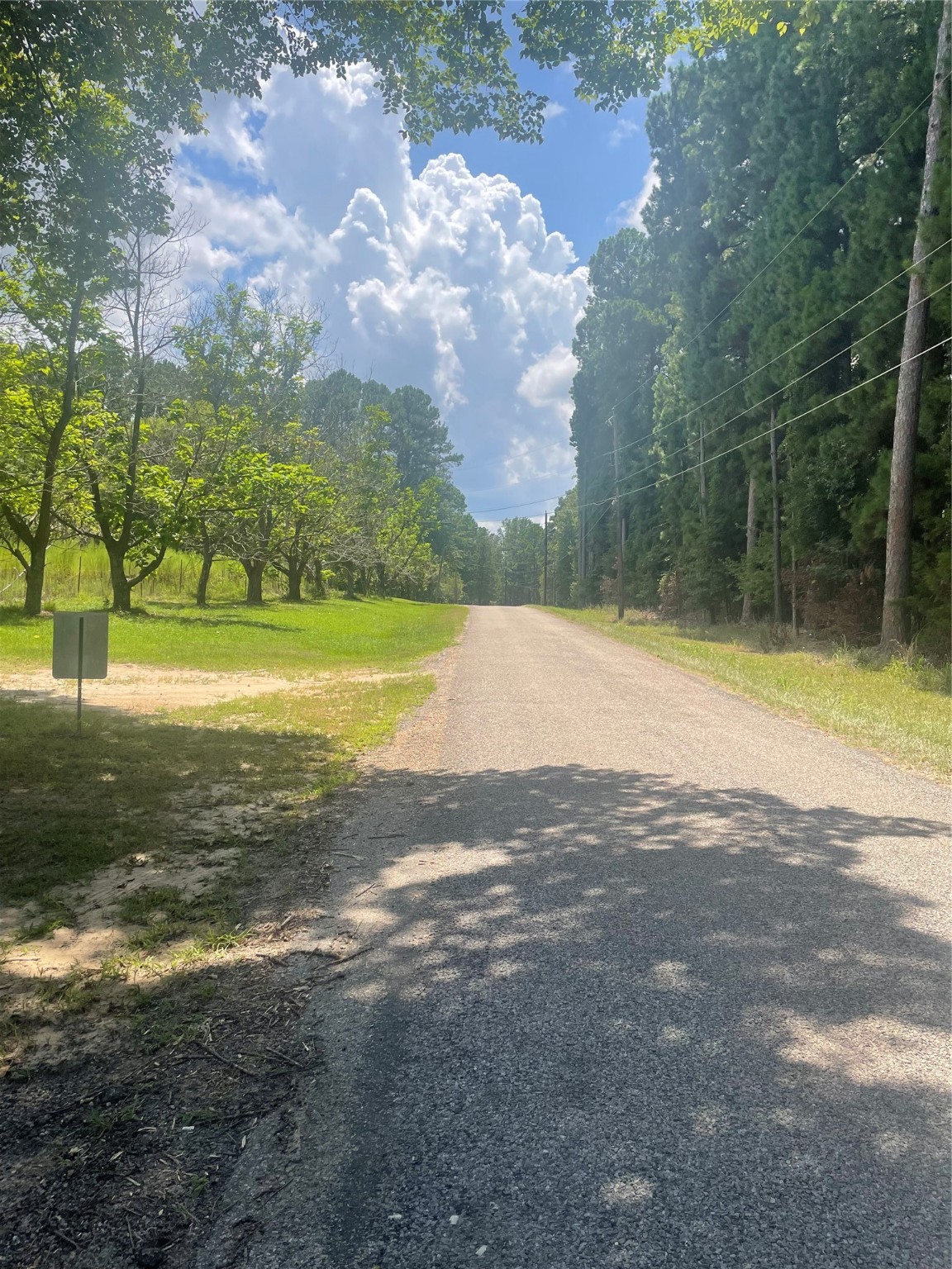 1145 Lundy Lane Naples, TX 75568 - Photo 4 of 5 a view of a yard