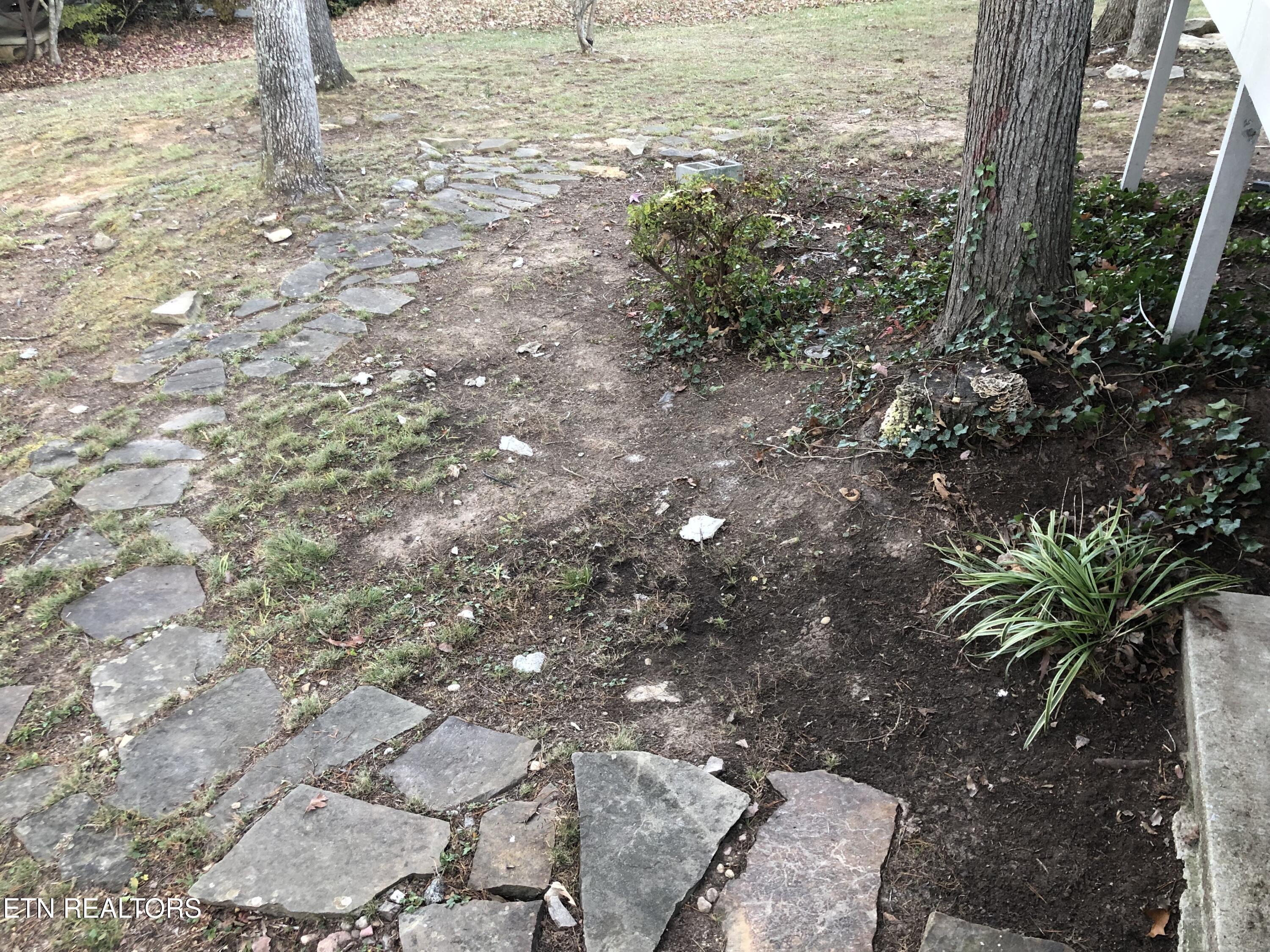 107 Hazleton Lane Oak Ridge, TN 37830 - Photo 21 of 26 Walkway in back